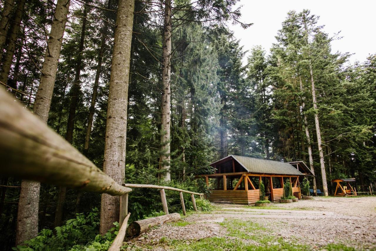 Zelenyy Bir Hotell Skhidnytsia Eksteriør bilde
