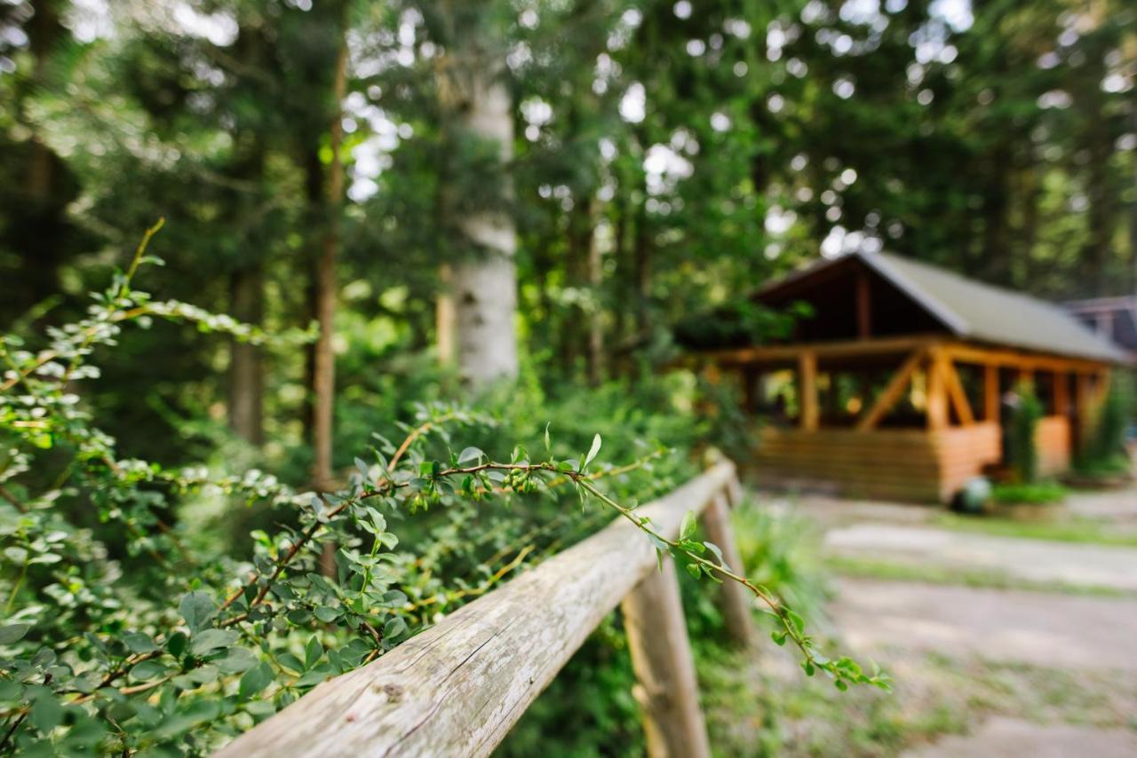 Zelenyy Bir Hotell Skhidnytsia Eksteriør bilde